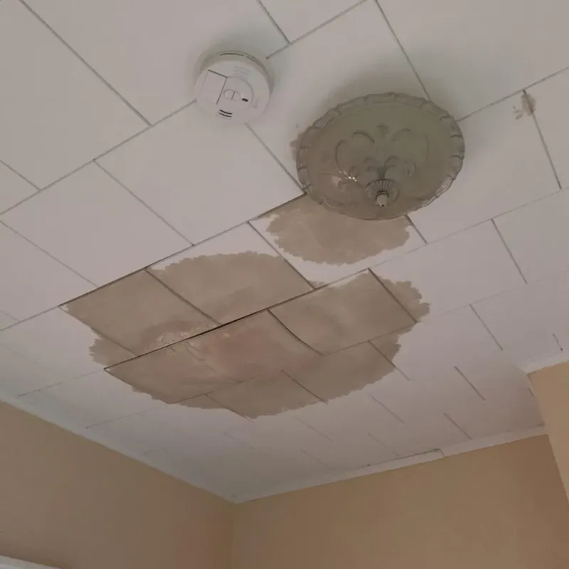 Ceiling Water Damage Repair in City of Suffolk, VA