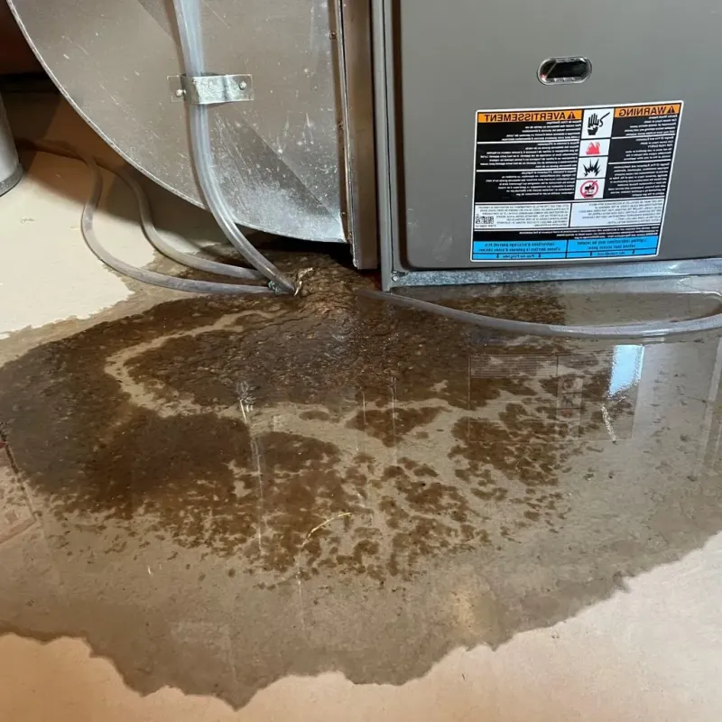 Pipe Burst and Leak Restoration in City of Suffolk, VA