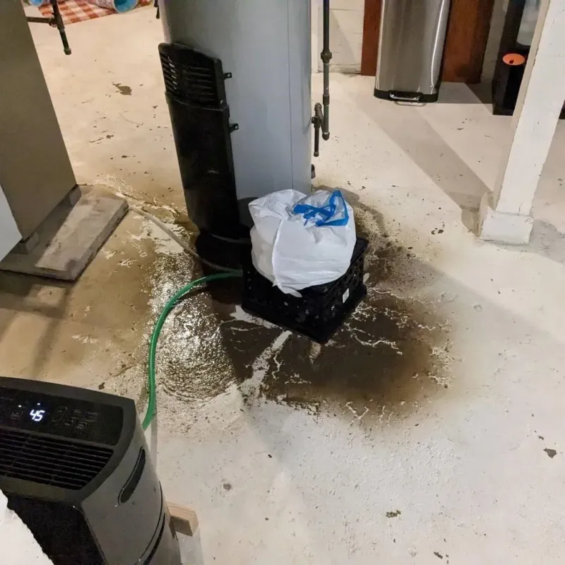 Sewage Backup Cleanup Service in City of Suffolk, VA